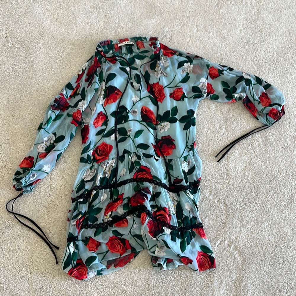 Alice & Olivia XS dress
